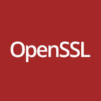 کشف آسیب پذیری دیگری درOpenSSL