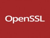 کشف آسیب پذیری دیگری درOpenSSL