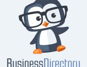 Business Directory وردپرس آسیب‌پذیر است