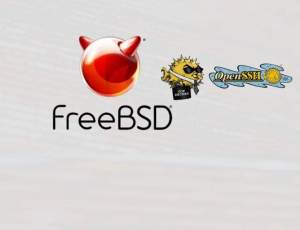 خطر نفوذ به سیستم‌های FreeBSD از راه OpenSSH